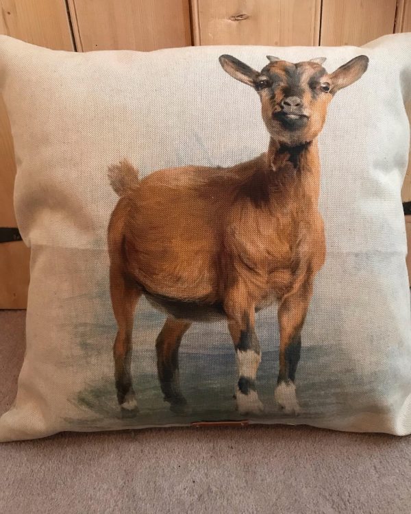 Goat Cushion