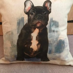 Cushions