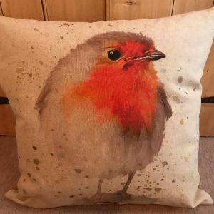 Robin cushion