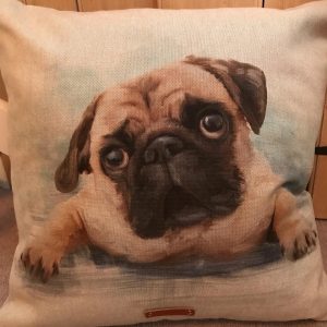 Pug cushion