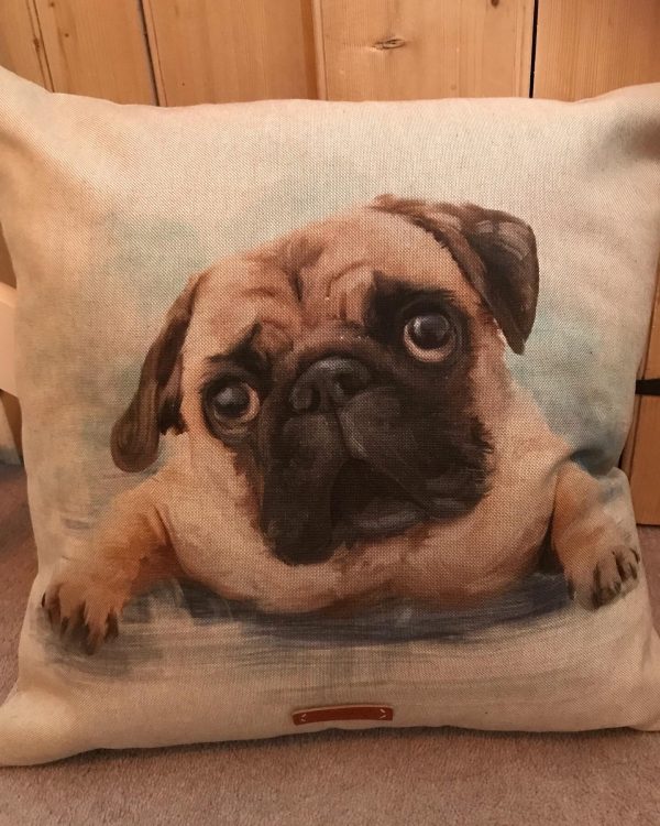 Pug cushion