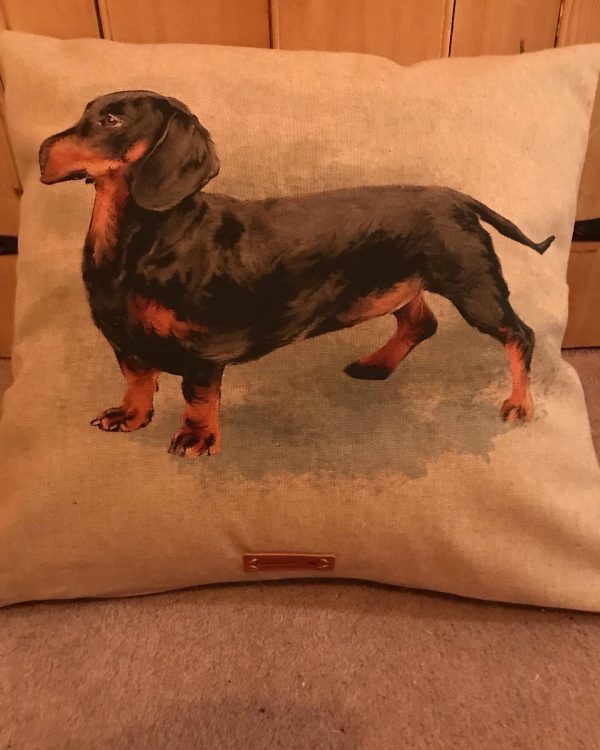 Dachshund Cushion