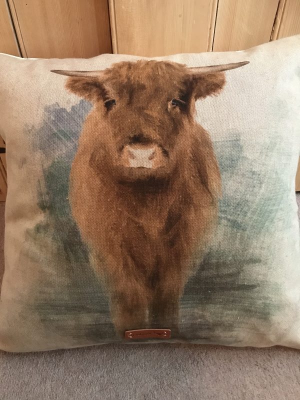 Highland cow Cushion
