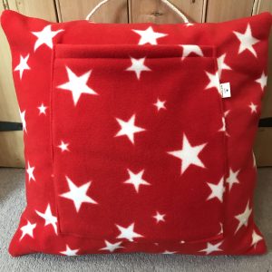 Red star reader cushion