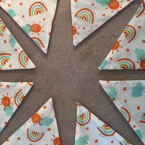 Rainbow bunting