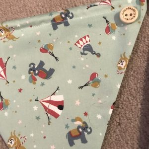 Circus bunting