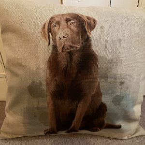 Chocolate Labrador Cushion