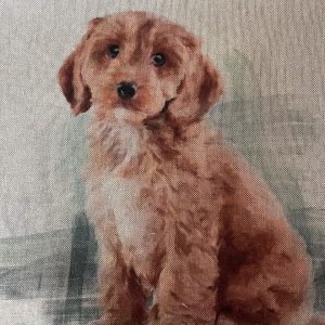 Doodle cushion