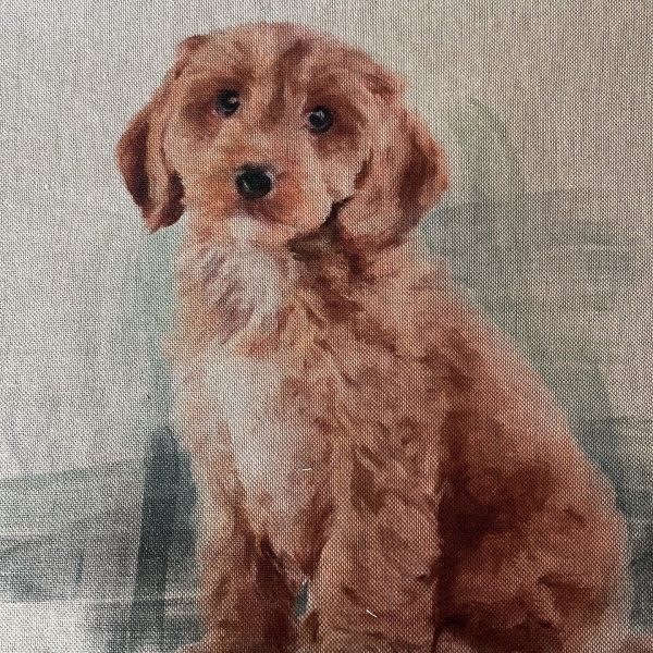 Doodle cushion