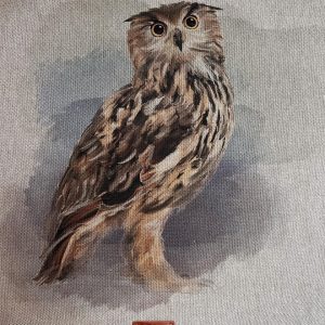 Owl Cushion