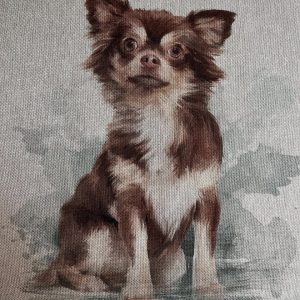 Chihuahua 2 Cushion