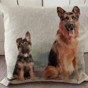 German shepherd & Pup