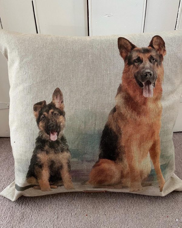 German shepherd & Pup