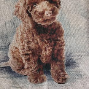 Cocker Cushion