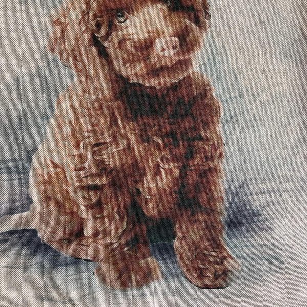 Cocker Cushion