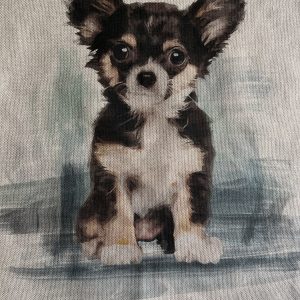 Chihuahua cushion