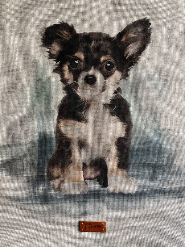 Chihuahua cushion