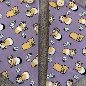 Guinea pig Bunting