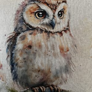 Hootie Owl 1
