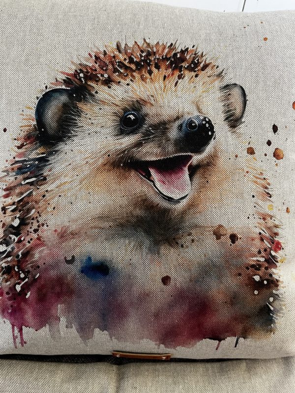 Cute Hedgehog 1
