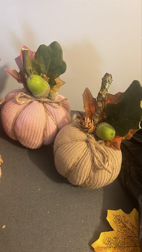 Decorative pumpkins - Image 3